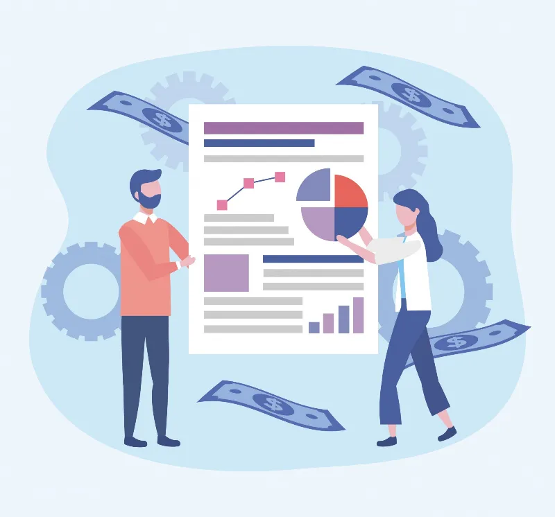 Profit and loss and balance sheet reports