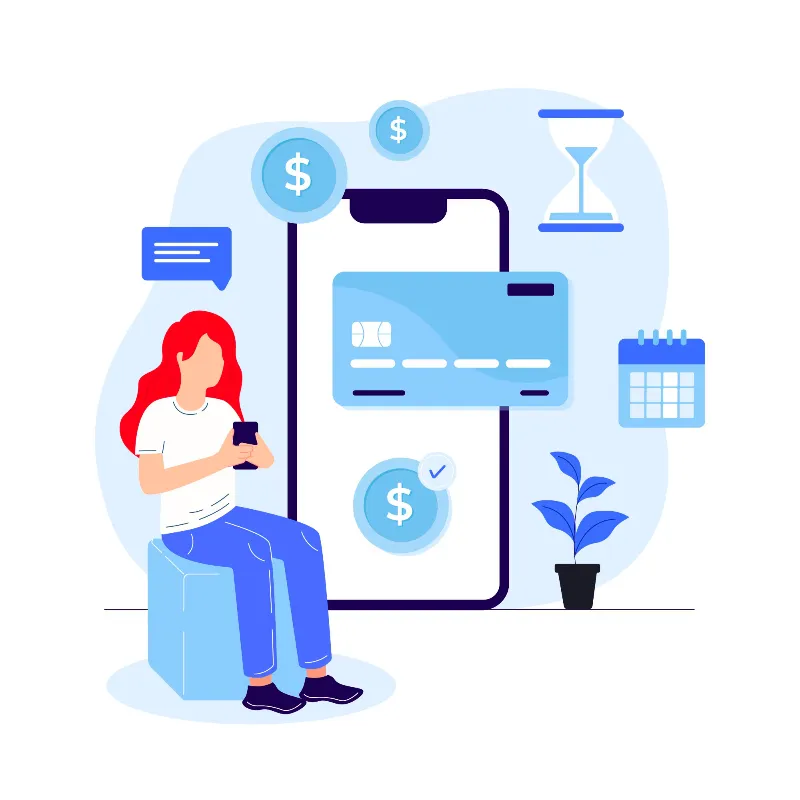 Online payments in SolutionsInc ERP